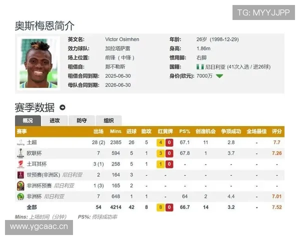 奥斯梅恩生涯荣誉解析:意甲冠军与金靴的含金量