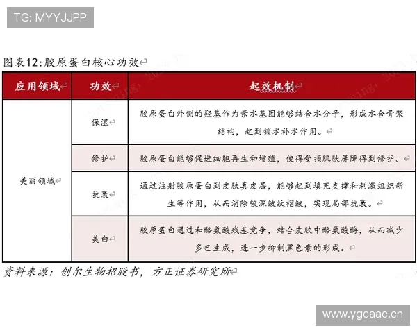 杜埃成长兑现度与实战表现分析